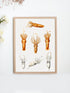 raw wood framed squid varieties print wall art